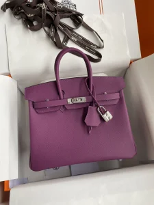 Hermes Birkin 25 Bag Purple Epsom