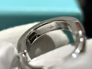Tiffany Lock White Gold Earrings